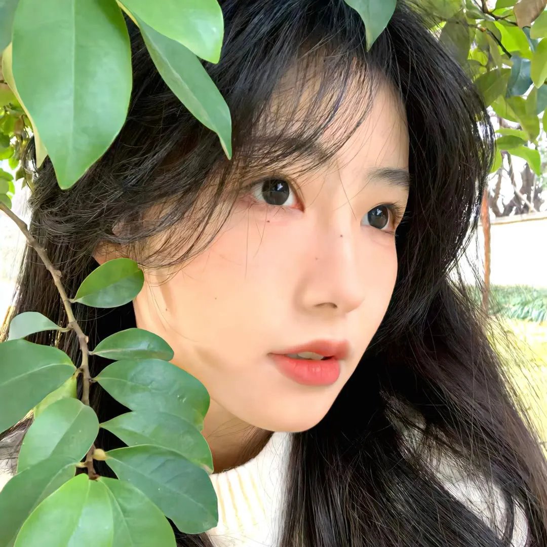 追羊孖宝