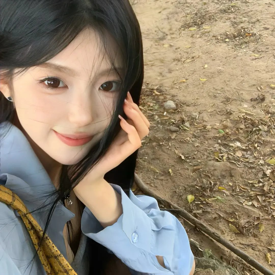 大卫的圣诞魔法